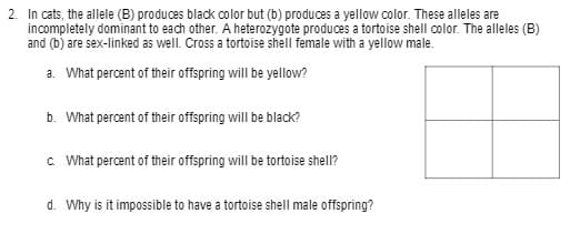 2. In cats, the allele (B) produces black color but (b) produces a yellow color. These alleles are
incompletely dominant to each other. A heterozygote produces a tortoise shell color. The alleles (B)
and (b) are sex-linked as well. Cross a tortoise shell female with a yellow male.
a. What percent of their offspring will be yellow?
b. What percent of their offspring will be black?
c What percent of their offspring will be tortoise shell?
d. Why is it impossible to have a tortoise shell male offspring?
