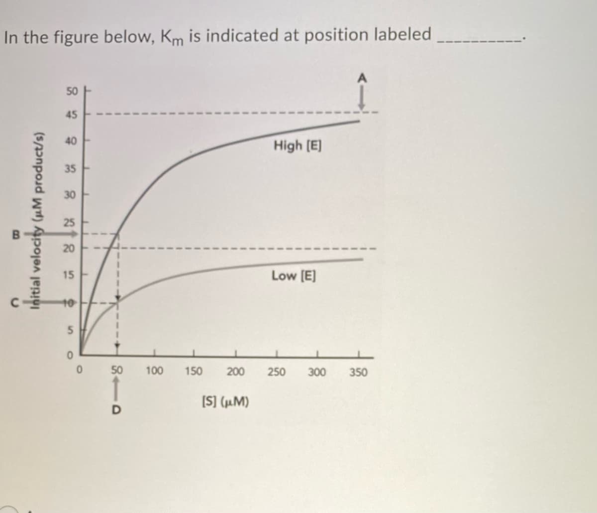 In the figure below, Km is indicated at position labeled_
B
U
Initial velocity (μM product/s)
50
45
40
35
20
15
5
0
0
50
D
100
150 200
[S] (μm)
High [E]
Low [E]
A
250 300 350