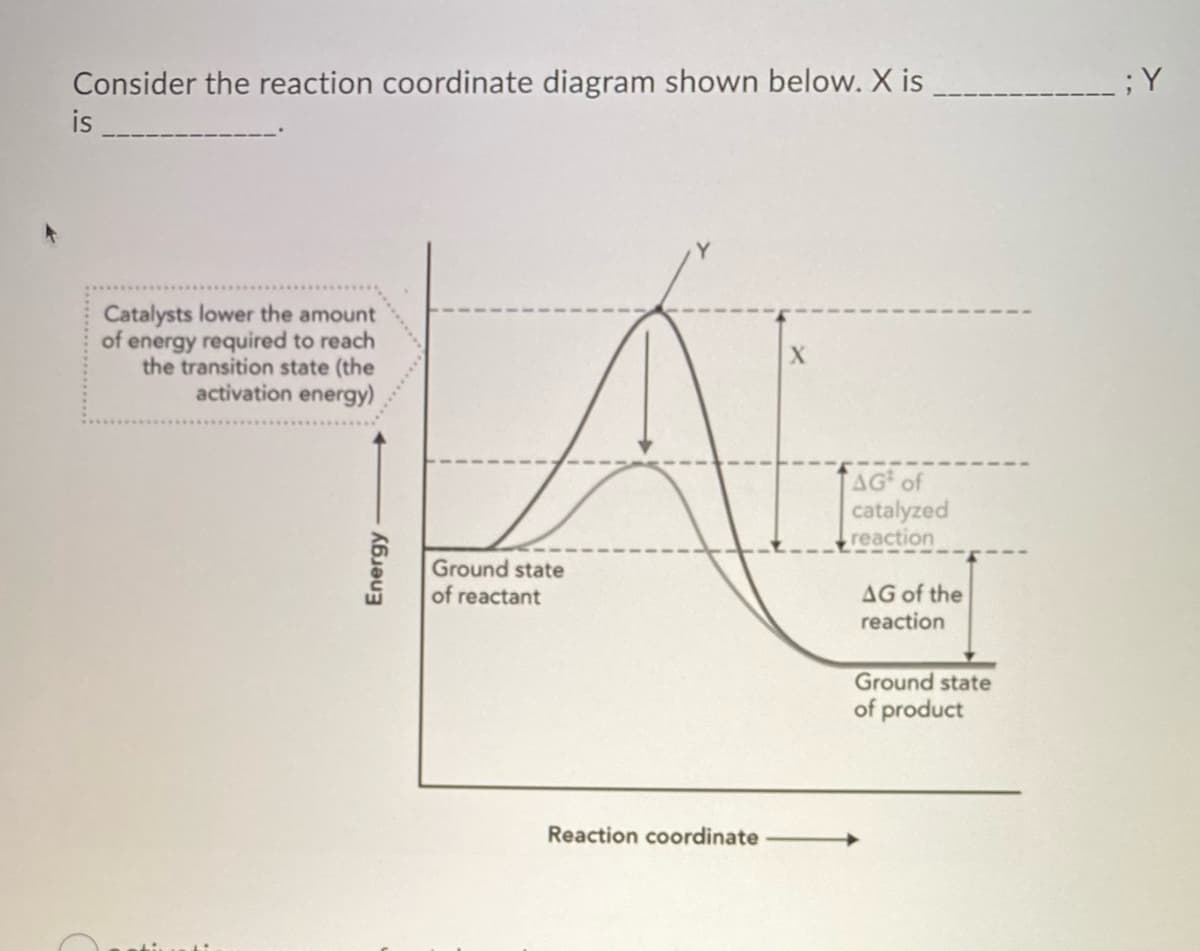 Consider the reaction coordinate diagram shown below. X is
is
Catalysts lower the amount
of energy required to reach
the transition state (the
activation energy)
Energy
Ground state
of reactant
Reaction coordinate
AG of
catalyzed
reaction
AG of the
reaction
Ground state
of product
; Y