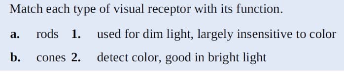 Match each type of visual receptor with its function.
rods 1. used for dim light, largely insensitive to color
cones 2.
detect color, good in bright light
a.
b.