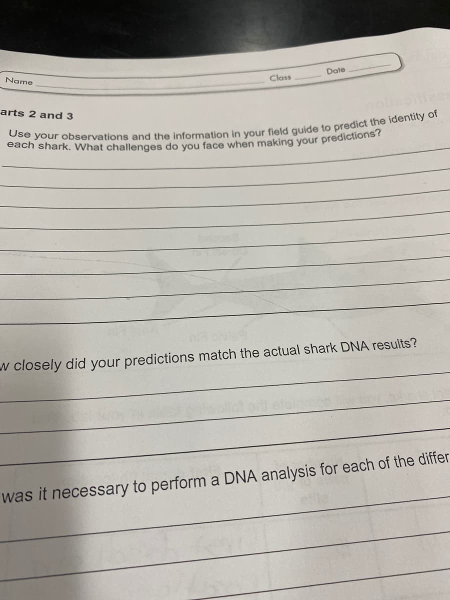 Name
Date
Class
arts 2 and 3
w closely did your predictions match the actual shark DNA results?
was it necessary to perform a DNA analysis for each of the differ
