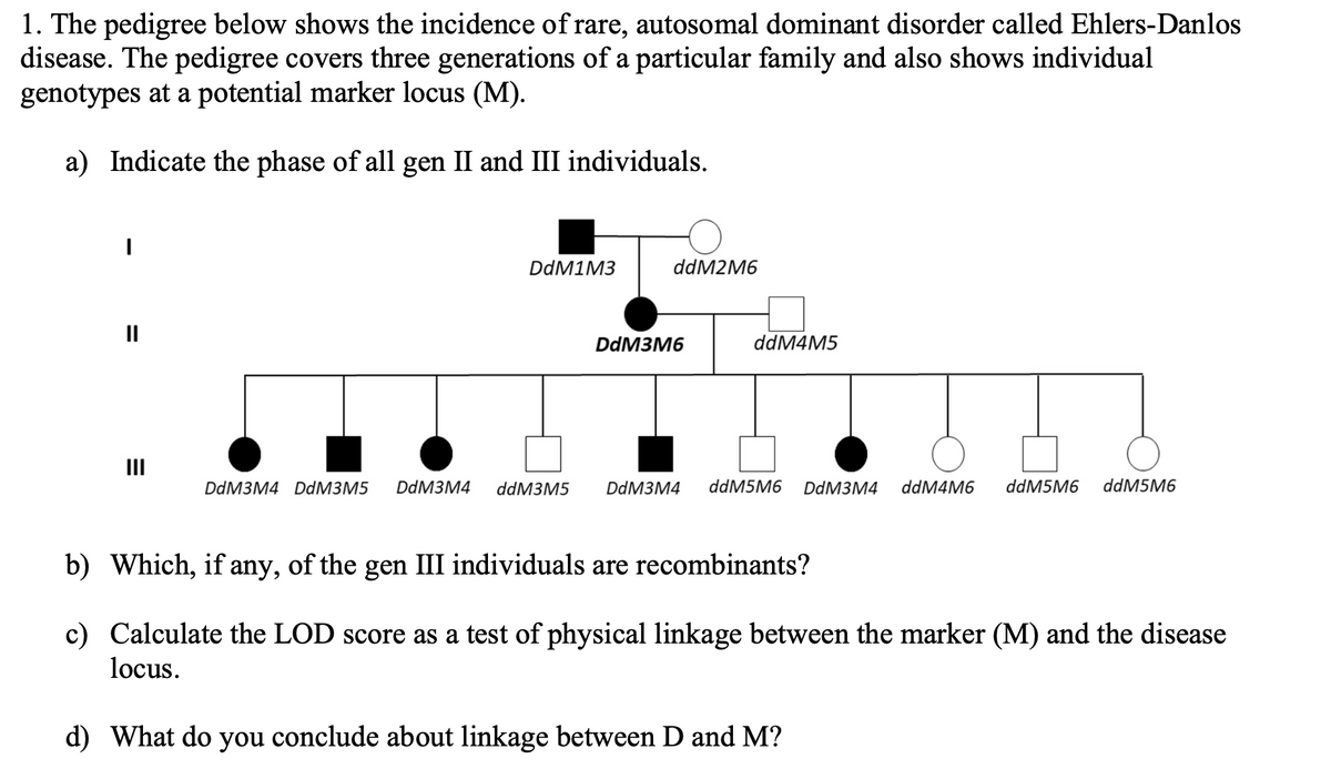 1. The pedigree below shows the incidence of rare, autosomal dominant disorder called Ehlers-Danlos
disease. The pedigree covers three generations of a particular family and also shows individual
genotypes at a potential marker locus (M).
a) Indicate the phase of all gen II and III individuals.
DdM1M3
ddM2M6
II
DDM3M6
ddM4M5
III
DdMзM4 DdMЗМ5
DDM3M4
ddM3M5
DDM3M4
ddM5M6
DDM3M4
ddM4M6
ddM5M6
ddM5M6
b) Which, if any, of the gen III individuals are recombinants?
c) Calculate the LOD score as a test of physical linkage between the marker (M) and the disease
locus.
d) What do you conclude about linkage between D and M?
