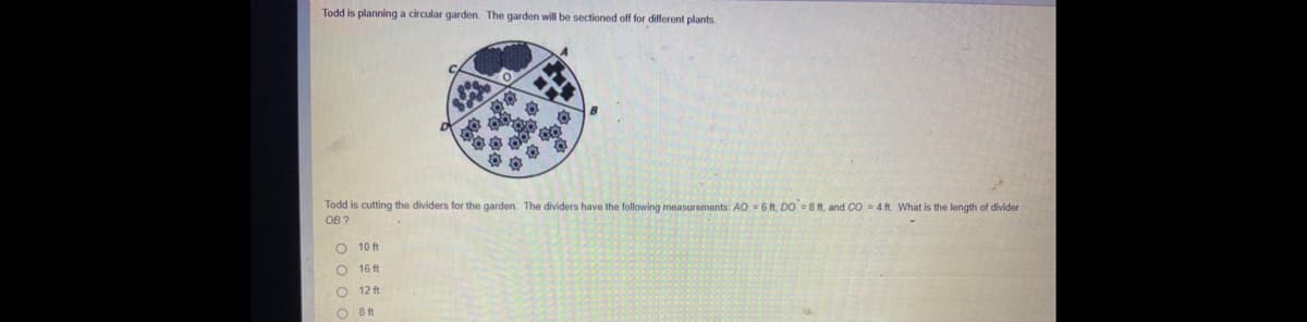 Todd is planning a circular garden. The garden will be sectioned off for different plants.
Todd is cutting the dividers for the garden. The dividers have the following measurements: AO 6 ft, DO = 8 ft, and CO = 4 ft. What is the length of divider
OB ?
O 10 ft
O 16 ft
O 12 ft
O 8 ft
