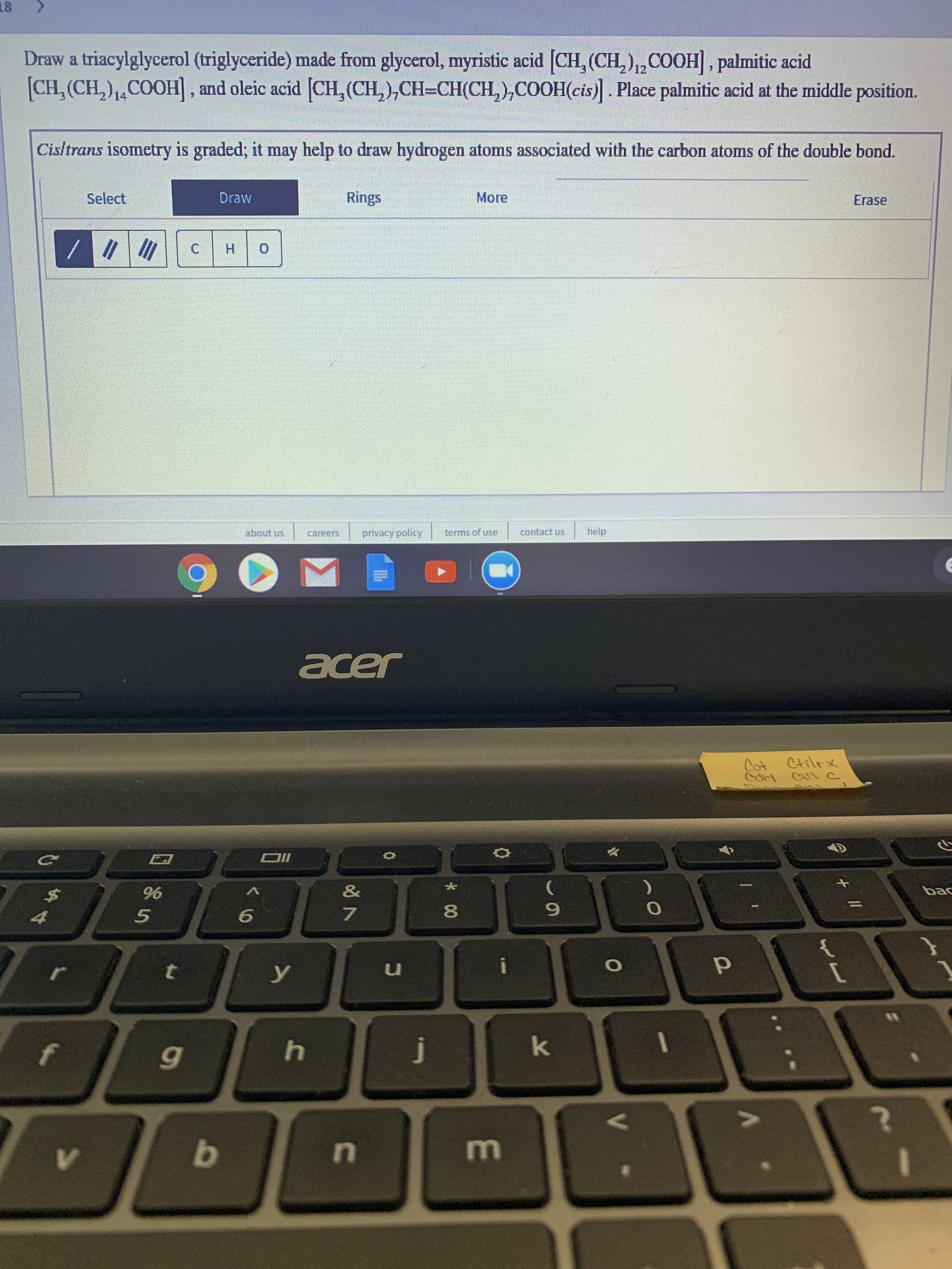 18
Draw a triacylglycerol (triglyceride) made from glycerol, myristic acid CH, (CH,),,COOH, palmitic acid
[CH, (CH,),,COOH], and oleic acid [CH, (CH,),CH=CH(CH, ),COOH(cis)] . Place palmitic acid at the middle position.
12
14
Cisltrans isometry is graded; it may help to draw hydrogen atoms associated with the carbon atoms of the double bond.
Select
Draw
Rings
More
Erase
H.
about us
privacy policy
termsof use
contact us
help
acer
Cot Ctilrx
&
bac
8.
ンの
У
j
In
K.
*00
く0
bo
