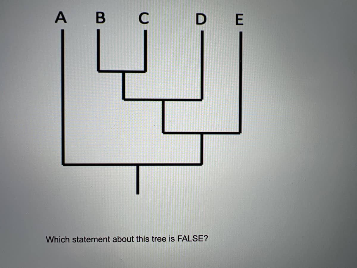A B
А В С
D E
Which statement about this tree is FALSE?
