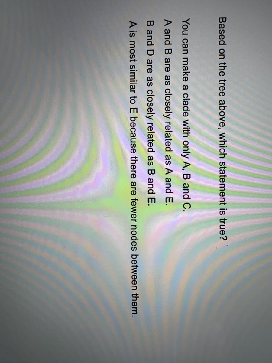 Based on the tree above, which statement is true?
You can make a clade with only A, B and C.
A and B are as closely related as A and E.
B and D are as closely related as B and E.
A is most similar to E because there are fewer nodes between them.
