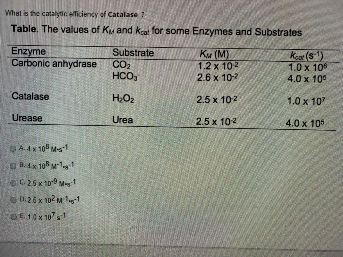 What is the catalytic efficiency of Catalase ?
Table. The values of KM and kcat for some Enzymes and Substrates
Enzyme
Carbonic anhydrase
Substrate
CO2
HCO3
KM (M)
1.2 x 10-2
2.6 x 10-2
Kcat (s-1)
1.0 x 106
4.0 x 105
Catalase
H2O2
2.5 x 10-2
1.0 x 107
Urease
Urea
2.5 x 10-2
4.0 x 105
O A. 4 x 108 M-s-1
O B. 4 x 108 M-1.s-1
OC25x 10-9 M-s1
D. 2.5 x 102 M-1.s-1
OE 1.0 x 107 s1
