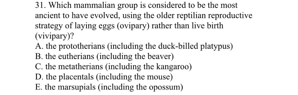 31. Which mammalian group is considered to be the most
ancient to have evolved, using the older reptilian reproductive
strategy of laying eggs (ovipary) rather than live birth
(vivipary)?
A. the prototherians (including the duck-billed platypus)
B. the eutherians (including the beaver)
C. the metatherians (including the kangaroo)
D. the placentals (including the mouse)
E. the marsupials (including the opossum)

