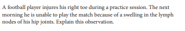 A football player injures his right toe during a practice session. The next
morning he is unable to play the match because of a swelling in the lymph
nodes of his hip joints. Explain this observation.
