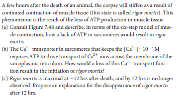 A few hours after the death of an animal, the corpse will stiffen as a result of
continued contraction of muscle tissue (this state is called rigor mortis). This
phenomenon is the result of the loss of ATP production in muscle tissue.
(a) Consult Figure 7.48 and describe, in terms of the six-step model of mus-
de contraction, how a lack of ATP in sarcomeres would result in rigor
mortis.
(b) The Ca* transporter in sarcomeres that keeps the [Ca*)-10-7 M
requires ATP to drive transport of Ca* ions across the membrane of the
sarcoplasmic reticulum. How would a loss of this Ca* transport func-
tion result in the initiation of rigor mortis?
(c) Rigor mortis is maximal at - 12 hrs after death, and by 72 hrs is no longer
observed. Propose an explanation for the disappearance of rigor mortis
after 12 hrs.
