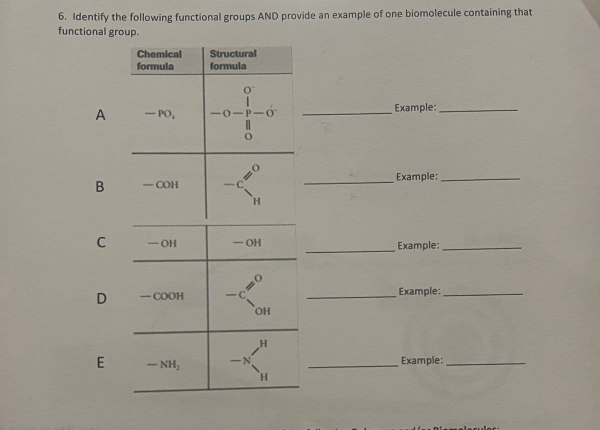 6. Identify the following functional groups AND provide an example of one biomolecule containing that
functional group.
A
B
C
D
E
Chemical
formula
- PO,
- COH
-OH
-COOH
-NH₂
Structural
formula
O
-O-P-0°
0=
0-
N
H
-OH
C=O
OH
H
H
Example:
Example:
Example:
Example:
Example:
Riomolecules: