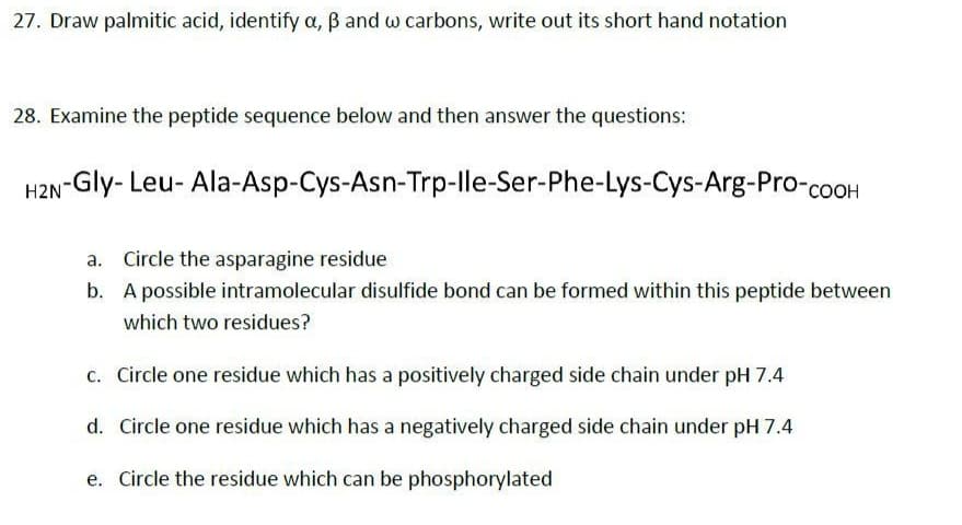 27. Draw palmitic acid, identify a, B and w carbons, write out its short hand notation
28. Examine the peptide sequence below and then answer the questions:
H2N-Gly- Leu- Ala-Asp-Cys-Asn-Trp-lle-Ser-Phe-Lys-Cys-Arg-Pro-coOH
a. Circle the asparagine residue
b. A possible intramolecular disulfide bond can be formed within this peptide between
which two residues?
c. Circle one residue which has a positively charged side chain under pH 7.4
d. Circle one residue which has a negatively charged side chain under pH 7.4
e. Circle the residue which can be phosphorylated
