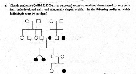 i. Chands syndrome (OMIM 214350) is an autosornal recessive condition characterized by very ourly
hair, underdeveloped nails, and abnormally shaped eyelids. In the following pedigree, which
individuals must be carriers?
