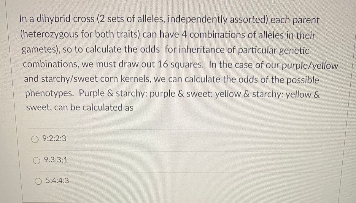In a dihybrid cross (2 sets of alleles, independently assorted) each parent
(heterozygous for both traits) can have 4 combinations of alleles in their
gametes), so to calculate the odds for inheritance of particular genetic
combinations, we must draw out 16 squares. In the case of our purple/yellow
and starchy/sweet corn kernels, we can calculate the odds of the possible
phenotypes. Purple & starchy: purple & sweet: yellow & starchy: yellow &
sweet, can be calculated as
O 9:2:2:3
9:3;3;1
O 5:4:4:3
