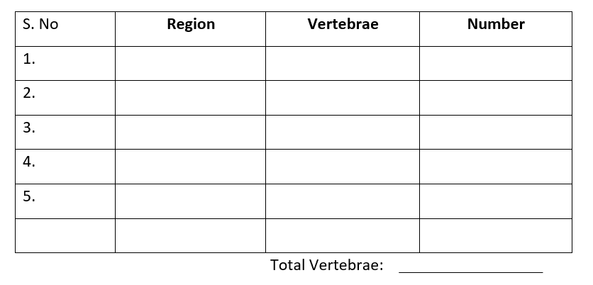 S. No
Region
Vertebrae
Number
1.
2.
3.
4.
5.
Total Vertebrae:
