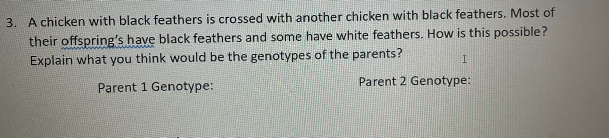 3. A chicken with black feathers is crossed with another chicken with black feathers. Most of
their offspring's have black feathers and some have white feathers. How is this possible?
Explain what you think would be the genotypes of the parents?
Parent 1 Genotype:
Parent 2 Genotype:
I