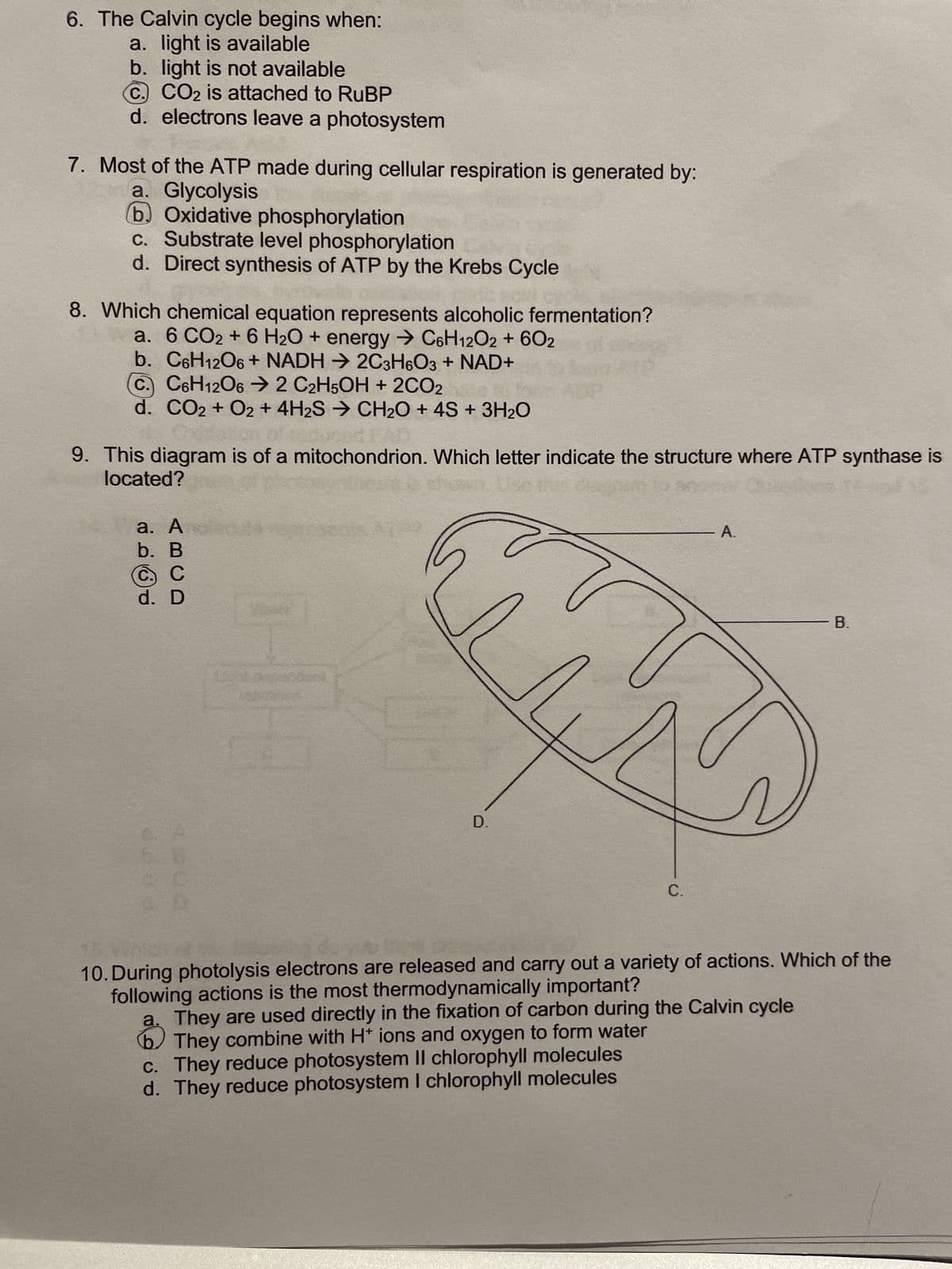 Part A - Multiple Choice /15)
1. How does Chlorophyll obtain its energy?
a. from CO2 and water?
6 absorbed from solar energy
#
3
c. converted from chemical energy into ATP
d. glucose broken down through a series of reactions
2. What process occurs during the light-independent reactions of photosynthesis?
a. Oxygen is released into the atmosphere
b. Protons are pumped from the thylakoid space into the stroma
c. RuBP is carboxylated then regenerated in the Calvin cycle
d. Triose phosphate is converted into G3P
3. Which statement is true about energy?
E
a. energy can only be obtained from solar sources
b.
energy can be obtained from chemical sources
c. energy can be created from anything
(d) energy can be converted from solar and chemical sources
4. Under which condition is anaerobic respiration most likely to occur?
a bacteria in soil helping to compost
b. yeast causing bread dough to rise
c. bacteria present on a rusty nail
d. all the above
5. What is true of chemosynthesis?
a. It is the direct formation of glucose by energy released during chemical reactions
b. It is the formation of ATP by conversion of one or more carbon molecules and nutrients
into energy
c. It can occur only in the presence of sunlight
d. It can occur only in the presence of oxygen
$
4
R
%
5
T
6
Y
&
7
U
*
8
1
(
9
0
0
P
+ 11
[