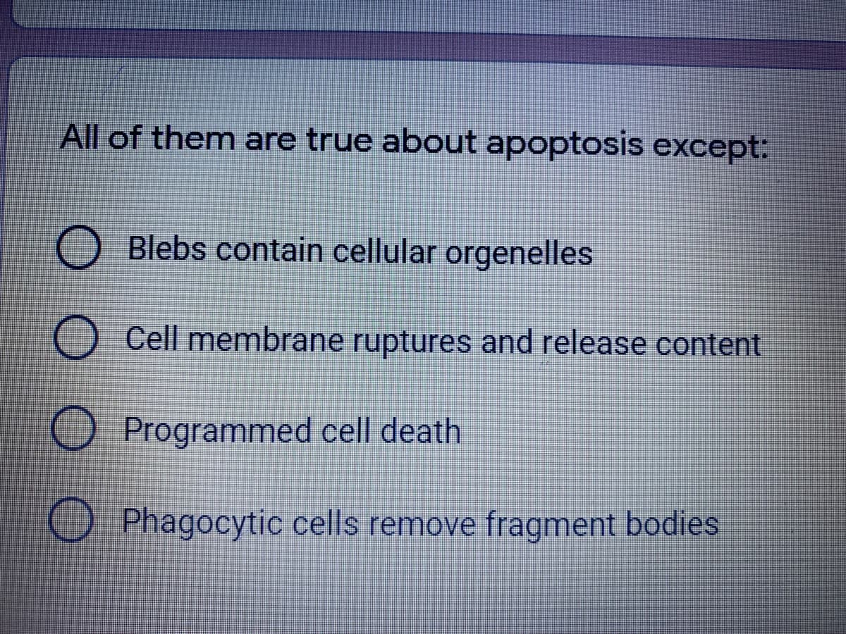 All of them are true about apoptosis except:
O Blebs contain cellular orgenelles
Cell membrane ruptures and release content
Programmed cell death
Phagocytic cells remove fragment bodies
