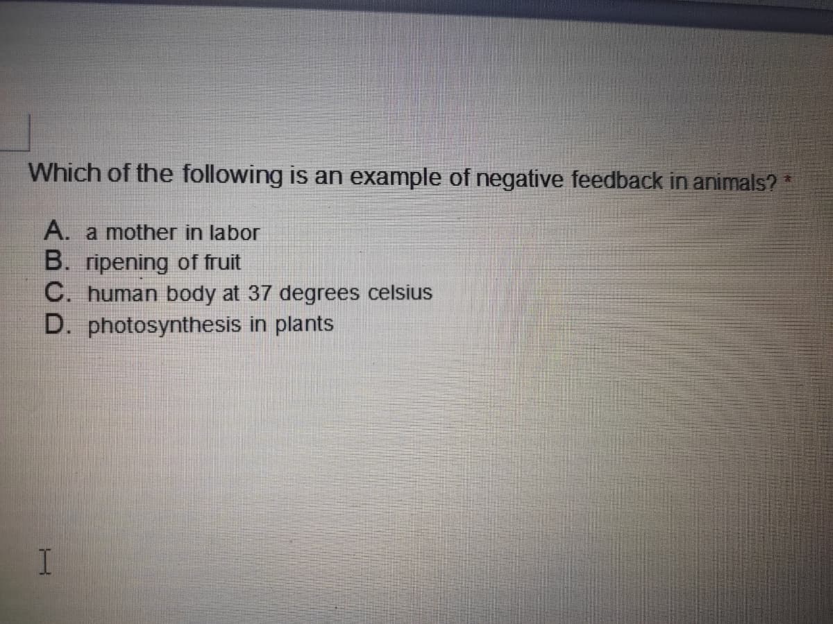 Which of the following is an example of negative feedback in animals?
A. a mother in labor
B. ripening of fruit
C. human body at 37 degrees celsius
D. photosynthesis in plants
