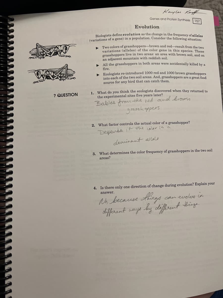 ? QUESTION
Kaylee Kouff.
Genes and Protein Synthesis 157
Evolution
Biologists define evolution as the change in the frequency of alleles
(variations of a gene) in a population. Consider the following situation:
Two colors of grasshoppers-brown and red-result from the two
variations (alleles) of the color gene in this species. These
grasshoppers live in two areas: an area with brown soil, and on
an adjacent mountain with reddish soil.
All the grasshoppers in both areas were accidentally killed by a
fire.
► Ecologists re-introduced 1000 red and 1000 brown grasshoppers
into each of the two soil areas. And, grasshoppers are a great food
source for any bird that can catch them.
1. What do you think the ecologists discovered when they returned to
the experimental sites five years later?
Babies from the red and browns
grasshoppers
2. What factor controls the actual color of a grasshopper?
Depends if the color is a
ماماله dominant
3. What determines the color frequency of grasshoppers in the two soil
areas?
4. Is there only one direction of change during evolution? Explain your
answer.
can evolve in
No, because things
different ways by different things.