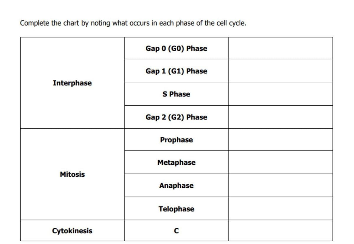 Complete the chart by noting what occurs in each phase of the cell cycle.
Gap 0 (G0) Phase
Gap 1 (G1) Phase
Interphase
S Phase
Gap 2 (G2) Phase
Prophase
Metaphase
Mitosis
Anaphase
Telophase
Cytokinesis
