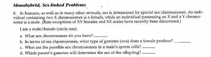 Monohybrid, Sex-linked Problems
6. In humans, as well as in many other animals, sex is determined by special sex chromosomes. An indi-
vidual containing two X chromosomes is a female, while an individual possessing an X and a Y chromo-
some is a male. (Řare exceptions of XY females and XX males have recently been discovered.)
I am a male/female (circle one).
a. What sex chromosomes do you have? .
b. In terms of sex chromosomes, what type of gametes (ova) does a female produce?
c. What are the possible sex chromosomes in a male's sperm cells?
d. Which parent's gametes will determine the sex of the offspring?.
