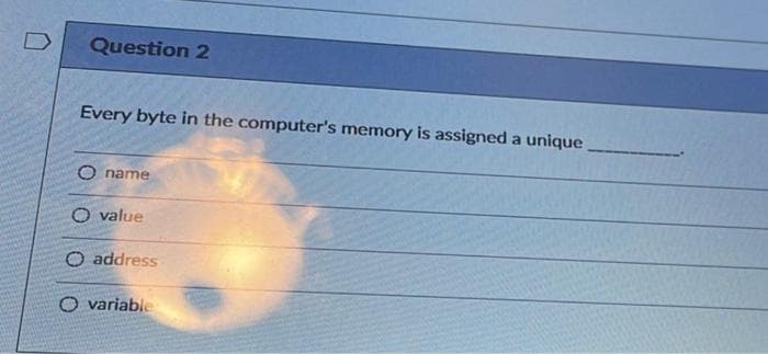 Question 2
Every byte in the computer's memory is assigned a unique
O name
O value
O address
O variable