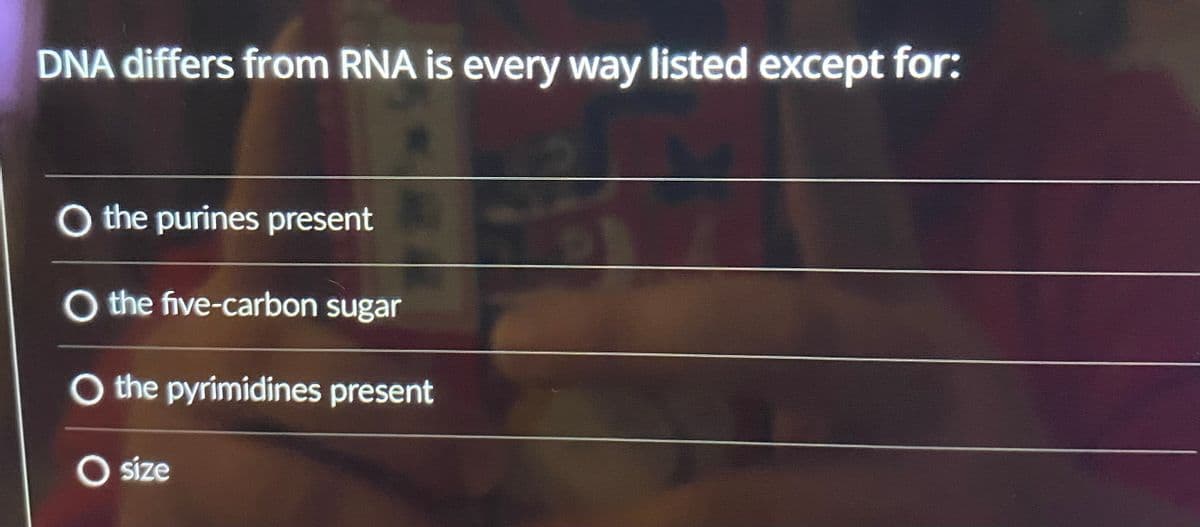 DNA differs from RNA is every way listed except for:
O the purines present
O the five-carbon sugar
O the pyrimidines present
O size