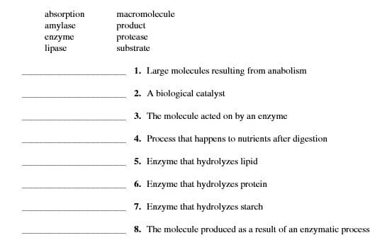 absorption
amylase
macromolecule
product
protease
enzyme
lipase
substrate
1. Large molecules resulting from anabolism
2. A biological catalyst
3. The molecule acted on by an enzyme
4. Process that happens to nutrients after digestion
5. Enzyme that hydrolyzes lipid
6. Enzyme that hydrolyzes protein
7. Enzyme that hydrolyzes starch
8. The molecule produced as a result of an enzymatic process
