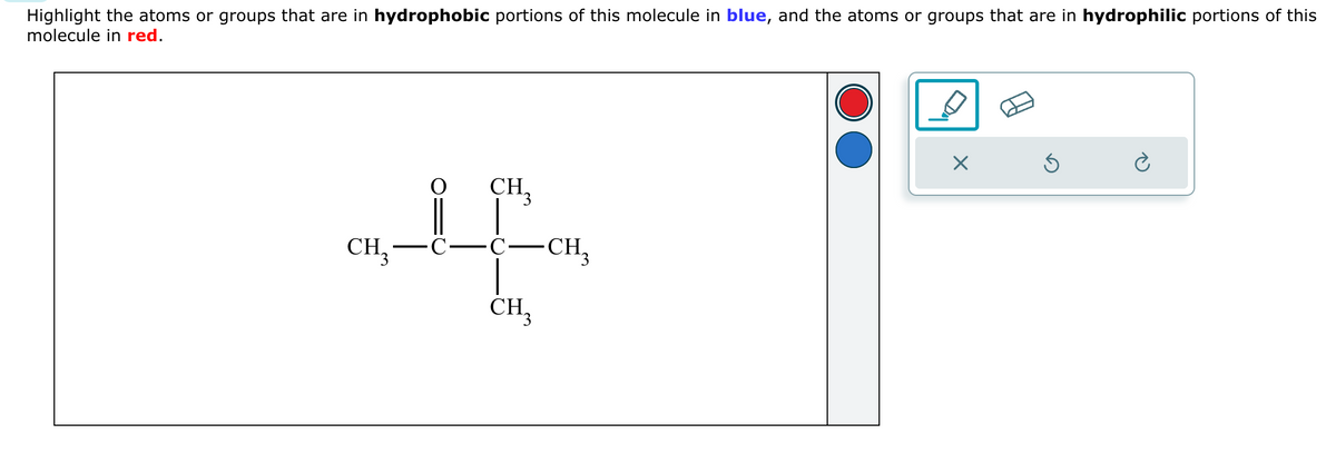 Highlight the atoms or groups that are in hydrophobic portions of this molecule in blue, and the atoms or groups that are in hydrophilic portions of this
molecule in red.
CH3
If
C
C-
CH3
CH₂-
-CH₂
X
Ś
Ć