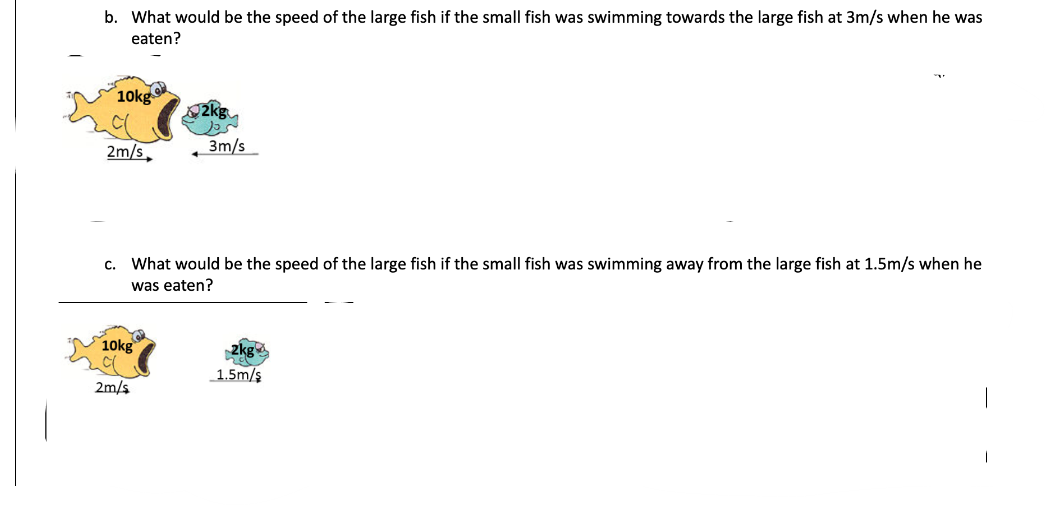 b. What would be the speed of the large fish if the small fish was swimming towards the large fish at 3m/s when he was
eaten?
10kg
2m/s
c. What would be the speed of the large fish if the small fish was swimming away from the large fish at 1.5m/s when he
was eaten?
10kg
3m/s
2m/s
1.5m/s
