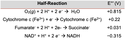 Half-Reaction
E" (V)
O2(g) + 2 H* + 2 e- → H2O
+0.815
Cytochrome c (Fe3*) + e → Cytochrome c (Fe2*)
+0.22
Fumarate + 2 H* + 2e- → Succinate
+0.031
NAD* + H* + 2 e → NADH
-0.315
