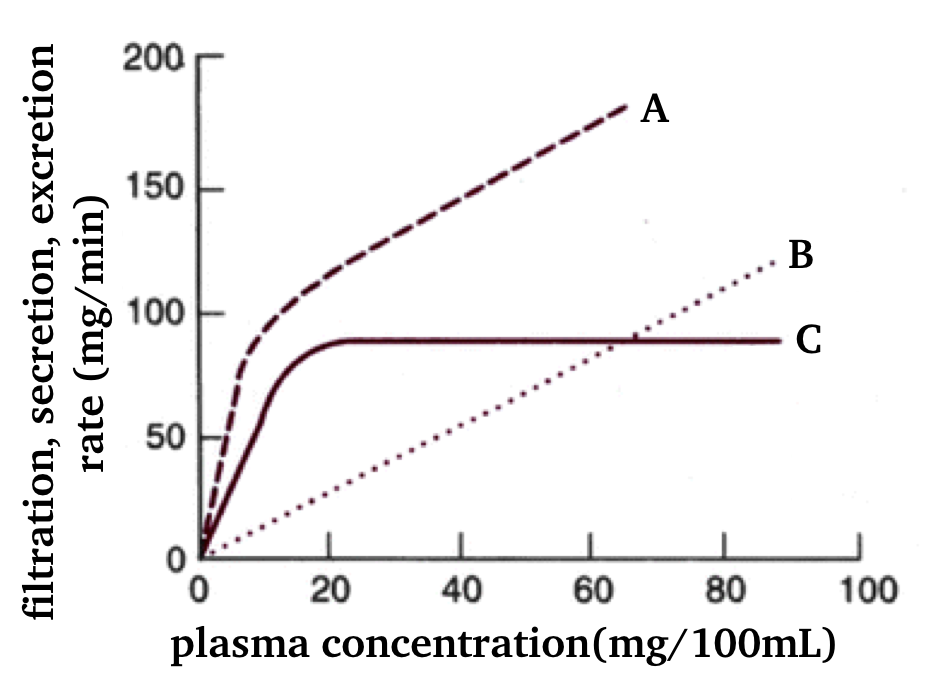 200
А
150
B
100
C
50
20
40
60
80
100
plasma concentration(mg/100mL)
filtration, secretion, excretion
rate (mg/min)
