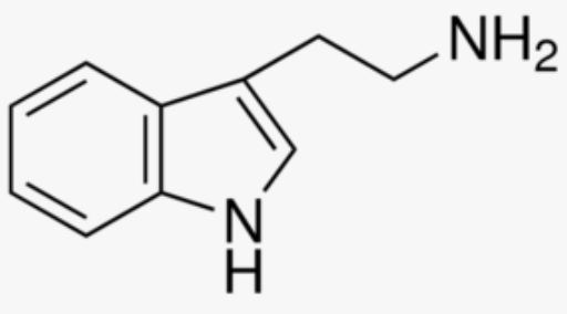 NH2
H.
Zエ
