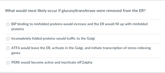 What would most likely occur if glucosyltransferase were removed from the ER?
BİP binding to misfolded proteins would increase and the ER would fill up with misfolded
proteins
Incompletely folded proteins would traffic to the Golgi
ATF6 would leave the ER, activate in the Golgi, and initiate transcription of stress-relieving
genes
PERK would become active and inactivate elF2alpha
