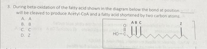 3. During beta-oxidation of the fatty acid shown in the diagram below the bond at position
will be cleaved to produce Acetyl-CoA and a fatty acid shortened by two carbon atoms.
AB C
A. A
B. B
C. C
D. Z
-||
но-с
doods
Z