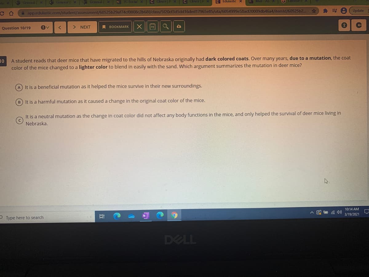 OGeneral ( X General (X General ( XN 7C Social X
C Clever | X C Clever |P X
E Edulastc X
O Mal AS X G Chooe
A app.edulastic.com/student/assessment/60525b29af74cf0008c2b68f/class/5f20cf3d5dd16ded17965e85/uta/6054999e58acf20009db46a4/itemld/60525b2..
EJ 8 Update
Question 10/19
> NEXT
A BOOKMARK
10
A student reads that deer mice that have migrated to the hills of Nebraska originally had dark colored coats. Over many years, due to a mutation, the coat
color of the mice changed to a lighter color to blend in easily with the sand. Which argument summarizes the mutation in deer mice?
A It is a beneficial mutation as it helped the mice survive in their new surroundings.
B It is a harmful mutation as it caused a change in the original coat color of the mice.
It is a neutral mutation as the change in coat color did not affect any body functions in the mice, and only helped the survival of deer mice living in
Nebraska.
10:14 AM
A E G 4)
3/19/2021
P Type here to search
DELL
