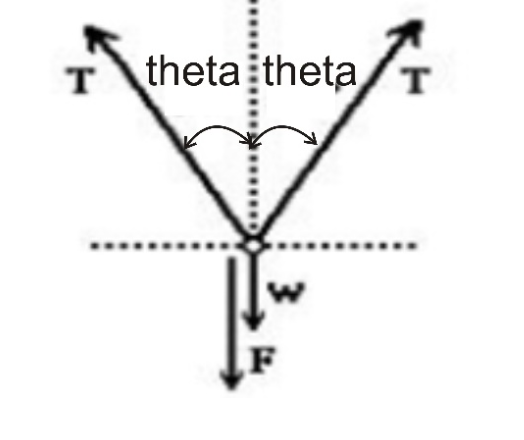 Ttheta theta T
