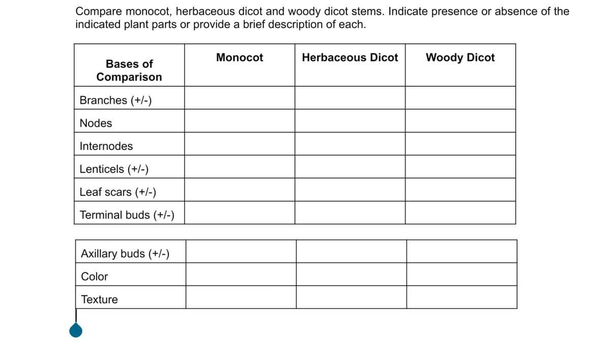 Compare monocot, herbaceous dicot and woody dicot stems. Indicate presence or absence of the
indicated plant parts or provide a brief description of each.
Monocot
Herbaceous Dicot Woody Dicot
Bases of
Comparison
Branches (+/-)
Nodes
Internodes
Lenticels (+/-)
Leaf scars (+/-)
Terminal buds (+/-)
Axillary buds (+/-)
Color
Texture