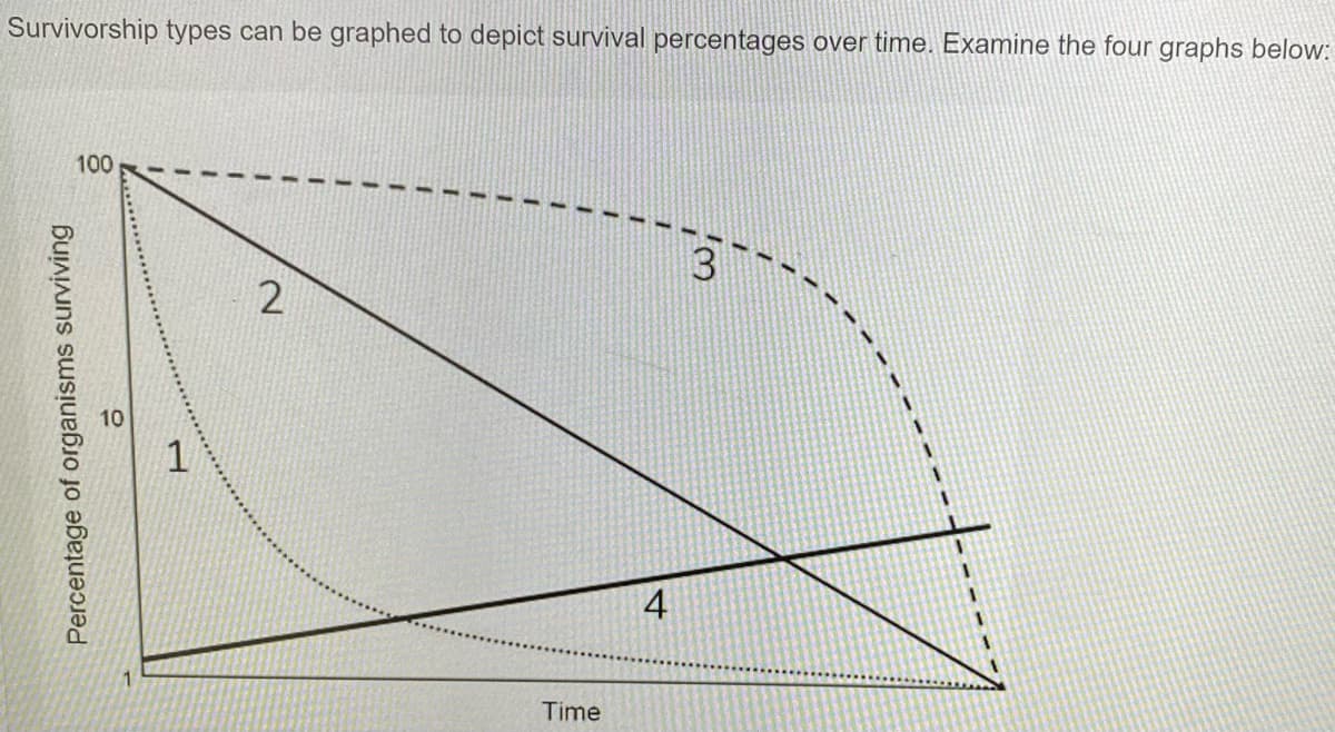 Survivorship types can be graphed to depict survival percentages over time. Examine the four graphs below:
100
2
1
4
1
Time
Percentage of organisms surviving
