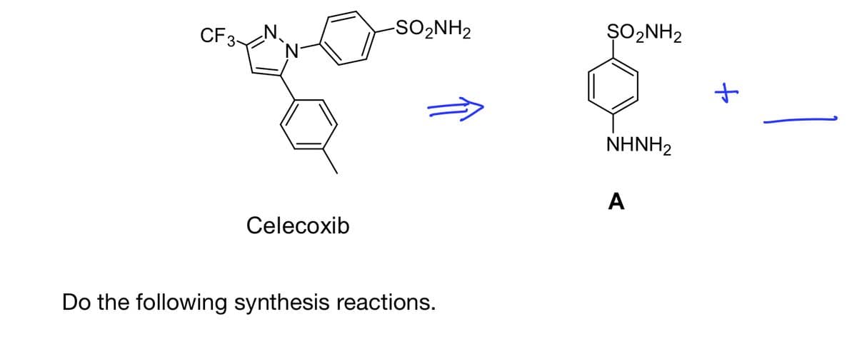 CF 3-
Celecoxib
-SO2NH2
Do the following synthesis reactions.
ŞO₂NH₂
NHNH2
A
+