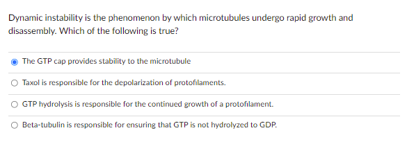 Dynamic instability is the phenomenon by which microtubules undergo rapid growth and
disassembly. Which of the following is true?
The GTP cap provides stability to the microtubule
Taxol is responsible for the depolarization of protofilaments.
GTP hydrolysis is responsible for the continued growth of a protofilament.
Beta-tubulin is responsible for ensuring that GTP is not hydrolyzed to GDP.