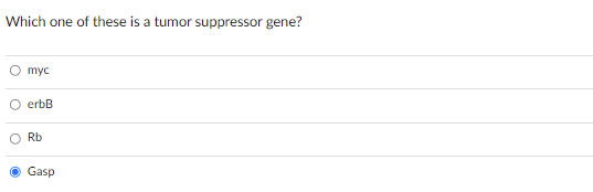 Which one of these is a tumor suppressor gene?
myc
erbB
O Rb
Gasp