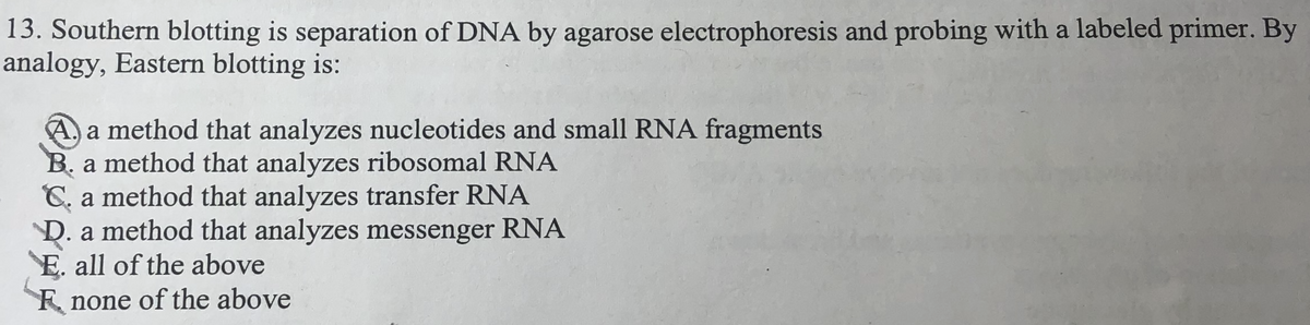 13. Southern blotting is separation of DNA by agarose electrophoresis and probing with a labeled primer. By
analogy, Eastern blotting is:
A a method that analyzes nucleotides and small RNA fragments
B. a method that analyzes ribosomal RNA
C. a method that analyzes transfer RNA
D. a method that analyzes messenger RNA
E. all of the above
F none of the above