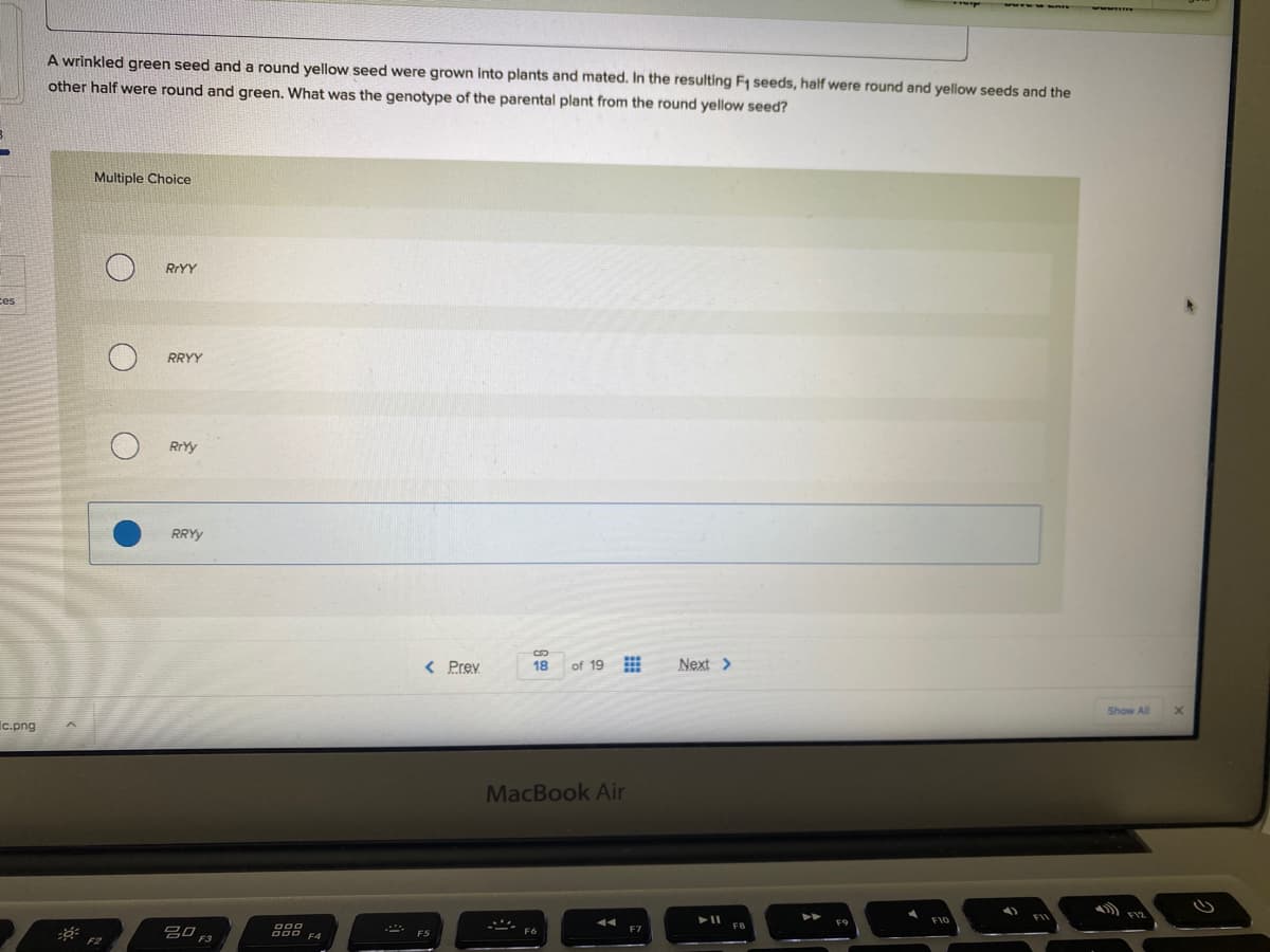A wrinkled green seed and a round yellow seed were grown into plants and mated. In the resulting F1 seeds, half were round and yellow seeds and the
other half were round and green. What was the genotype of the parental plant from the round yellow seed?
Multiple Choice
RIYY
ces
RRYY
RrYy
RRYY
< Prev
18
of 19
Next >
Show All
c.png
MacBook Air
F1O
888
F7
F2
