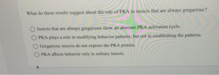 What do these results suggest about the role of PKA in insects that are always gregarious?
Insects that are always gregarious show an aberrant PKA activation cycle.
PKA plays a role in modifying behavior patterns, but not in establishing the patterns.
Gregarious insects do not express the PKA protein.
PKA affects behavior only in solitary insects.
