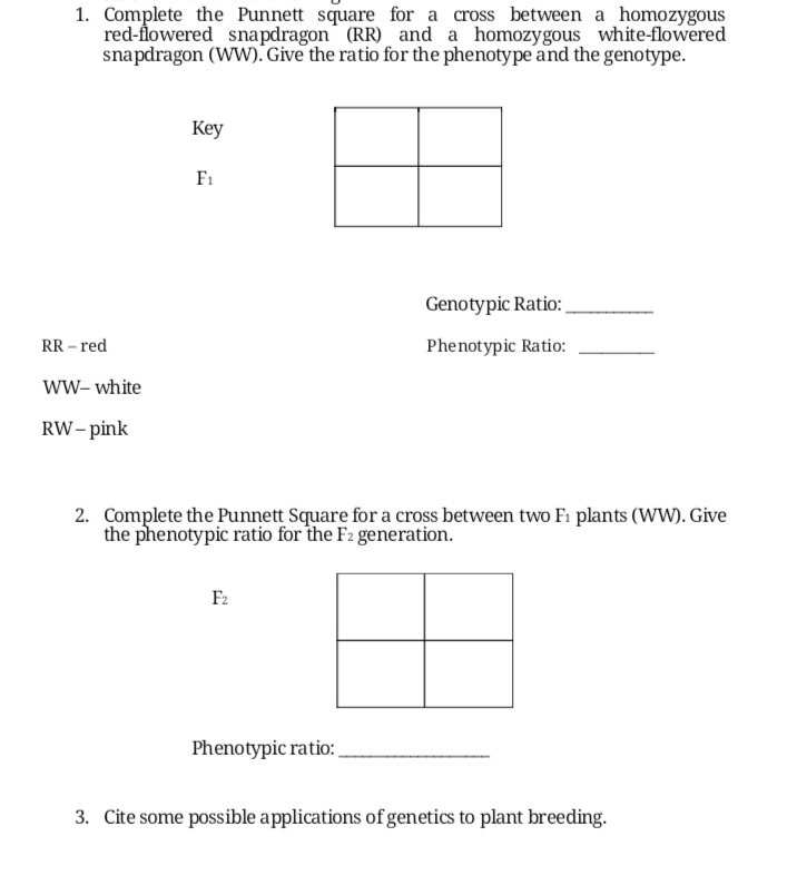 1. Complete the Punnett square for a cross between a homozygous
red-flowered snapdragon (RR) and a homozygous white-flowered
snapdragon (WW). Give the ratio for the phenotype and the genotype.
Key
F1
Genotypic Ratio:
RR – red
Phenotypic Ratio:
wW- white
RW- pink
2. Complete the Punnett Square for a cross between two Fi plants (WW). Give
the phenotypic ratio for the F2 generation.
F2
Phenotypic ratio:
3. Cite some possible applications of genetics to plant breeding.
