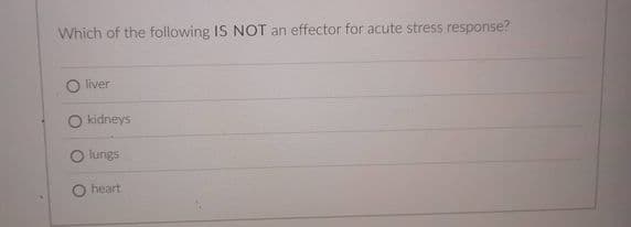 Which of the following IS NOT an effector for acute stress response?
O liver
O kidneys
lungs
O heart
