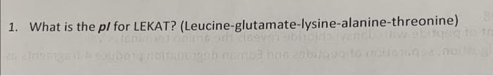1. What is the pl for LEKAT? (Leucine-glutamate-lysine-alanine-threonine)
bas

