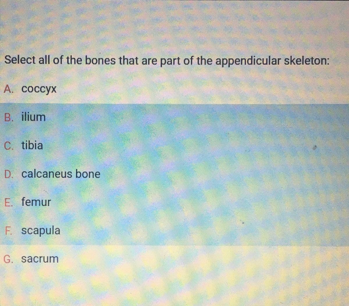 Select all of the bones that are part of the appendicular skeleton:
A. coccyx
B. ilium
C. tibia
D. calcaneus bone
E. femur
F. scapula
G. sacrum